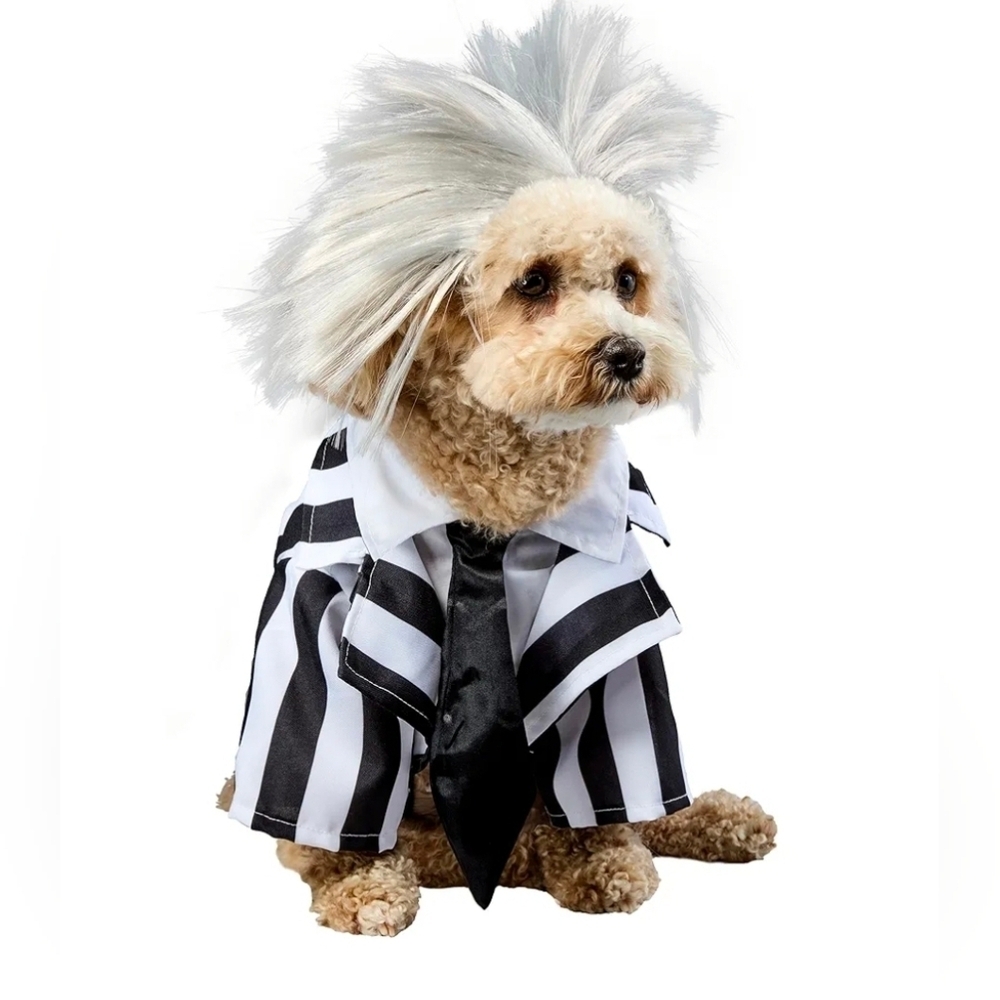 Beetlejuice Dog Costume, Black and White Striped Jacket with Dickie and Wig, XL